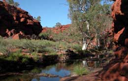 Ozeanien, Australien: Canning Stock Route - Flussbett