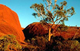 Ozeanien, Australien: Naturparadiese Australiens - Olgas - Rote Erde